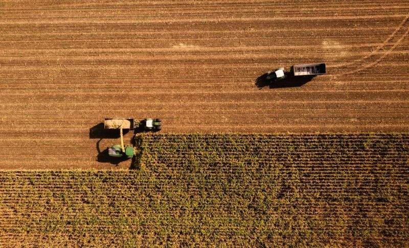 AgroNova Iberia 3